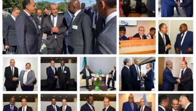 وزير الخارجية يعزز دعم الدول الإفريقية خلال الجمعية العامة للأمم المتحدة