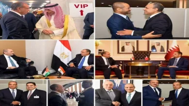 وزير الخارجية يعقد اجتماعات مع وزراء الخارجية العرب في نيويورك