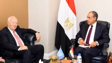 وزير الخارجية يناقش مع ممثل الأمم المتحدة تعزيز الحوار الثقافي ومواجهة الإسلاموفوبيا