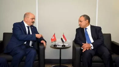 وزير الخارجية يناقش مع نظيره التونسي تطورات الأوضاع في غزة وليبيا والسودان