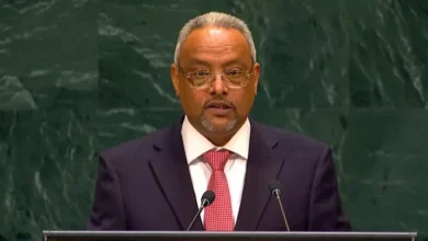 وزير خارجية جيبوتي: تدفق النازحين من اليمن يتجاوز قدرتنا على الاستيعاب