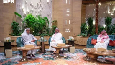 ولي العهد السعودي ونائب رئيس الإمارات يناقشان مستجدات المنطقة