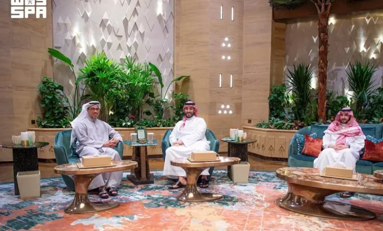 ولي العهد السعودي ونائب رئيس الإمارات يناقشان مستجدات المنطقة