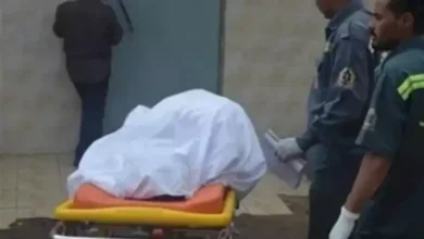 7 وفيات خلال 15 يوماً: تفاصيل حكم الإعدام في قضية مقتل أب وأطفاله الستة