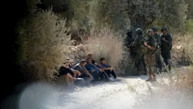 احتجاز عشرات الفلسطينيين وإحراق منشأة زراعية في انتهاكات المستوطنين 8 احتجاز عشرات الفلسطينيين وإحراق منشأة زراعية في انتهاكات المستوطنين