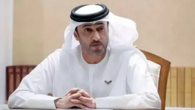الإمارات تبدأ تحقيقًا في حادثة طائرة فلاي دبي بعد هبوطها بالسعودية