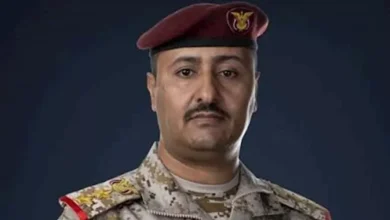 الجيش اليمني يُحيد 427 عنصرًا حوثيًا عبر 1119 ضربة جوية متعددة المواقع