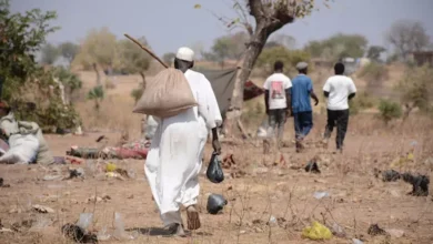 الخارجية السودانية تؤكد: الوضع الغذائي مستقر ولا توجد مجاعة