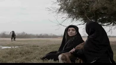 الصور الأولى من فيلم الخبيث تثير الحماس قبل مهرجان الجونة