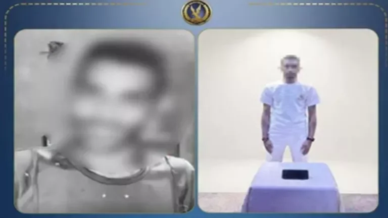 "القبض على شخص يعاني من اضطرابات نفسية بتهمة نشر فيديوهات مسيئة للأديان في المنتزه"