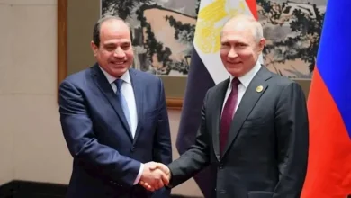 بوتين: التبادل التجاري بين مصر وروسيا يرتفع بنسبة 14% 6 بوتين: التبادل التجاري بين مصر وروسيا يرتفع بنسبة 14%