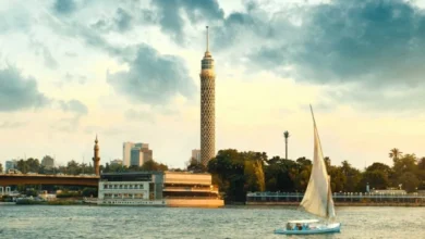 جولي كوزاك: المناقشات مع الحكومة المصرية تركز على السياسة النقدية والمالية العامة 6 جولي كوزاك: المناقشات مع الحكومة المصرية تركز على السياسة النقدية والمالية العامة