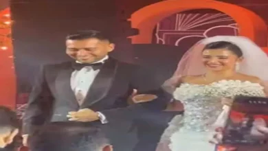 خالد زكي ومحمود حميدة يتألقان في حفل زفاف نجل صابرين