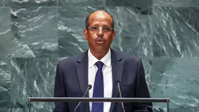 رئيس مفوضية الاتحاد الأفريقي: ضرورة استثمار ضخم لتمويل البنية التحتية في القارة