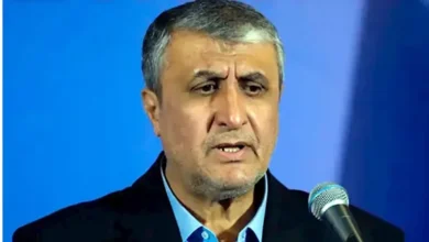 رئيس هيئة الطاقة الذرية الإيرانية يؤكد عدم وجود مفاوضات نووية