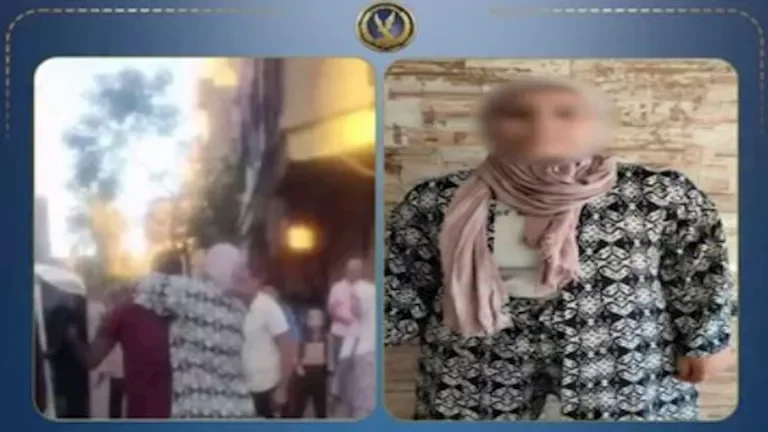 سيدة تعتدي على محامٍ بقطع أذنه وإصابة زوجته في المنوفية وفق بيان وزارة الداخلية