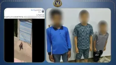 ضبط 3 طلاب في الشرقية بتهمة إلقاء الحجارة على طالبات داخل مدرسة