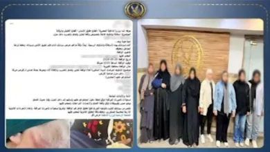 ضبط 8 سيدات في مشاجرة بالقليوبية بسبب قرض مالي