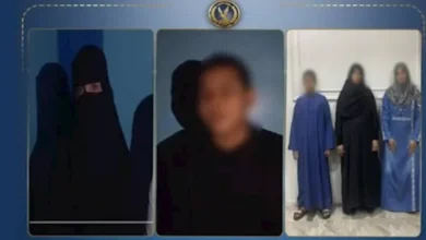 ضبط المتهمين بالتعدي على سيدة ونجلها في الأقصر بعد انقطاع الكهرباء