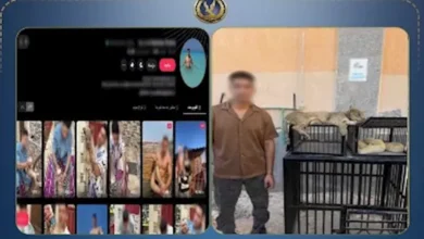ضبط صانع محتوى في كفر الشيخ يربي قطاً برياً وثعبانين خطرين في منزله