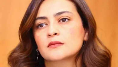 علا الشافعي ترأس مهرجان الإسكندرية السينمائي لدول حوض البحر المتوسط