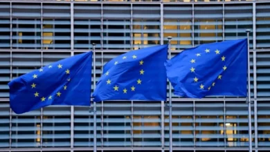 مسؤول أوروبي: صادرات السيارات الهجينة الصينية إلى أوروبا قد تتراجع 50%