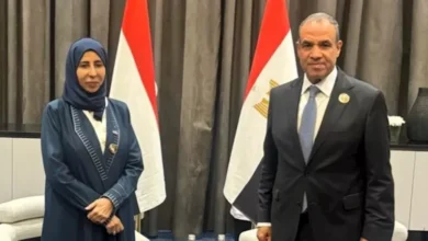 مصر تؤكد التزامها بوحدة اليمن، وفقاً لتصريحات وزير الخارجية