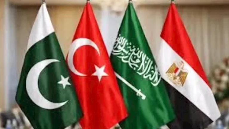 مصر والسعودية وتركيا وباكستان: الاحتلال الإسرائيلي يعزز عدم الاستقرار في المنطقة