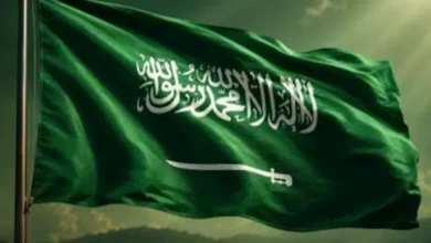 نادين نجيم ويسرا ونانسي عجرم يوجهون رسائل دعم للسعودية