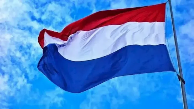 d987d988d984d986d8afd8a7 d8aad985d986d8ad 12 d985d984d98ad988d986 d8afd988d984d8a7d8b1 d984d8afd8b9d985 d8a5d8b5d984d8a7d8ad d982d8b7 1
