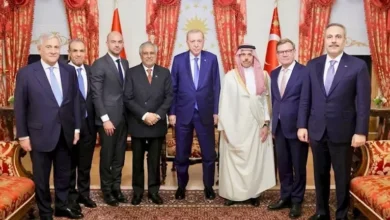 وزير الخارجية المصري في إسطنبول: مصر تتمسك برفض تهديد الملاحة الدولية