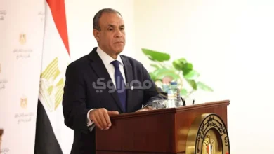وزير الخارجية المصري يؤكد رفض بلاده أي تواجد عسكري في البحر الأحمر